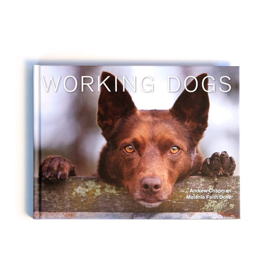 Working Dogs by Andrew Chapman